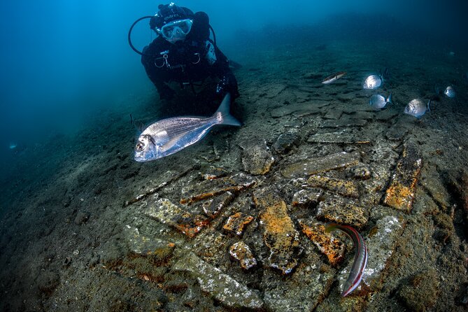 Try Scuba Dive on the Underwater Roman Ruins in Baia From Naples - Admiring Ancient Artifacts Underwater