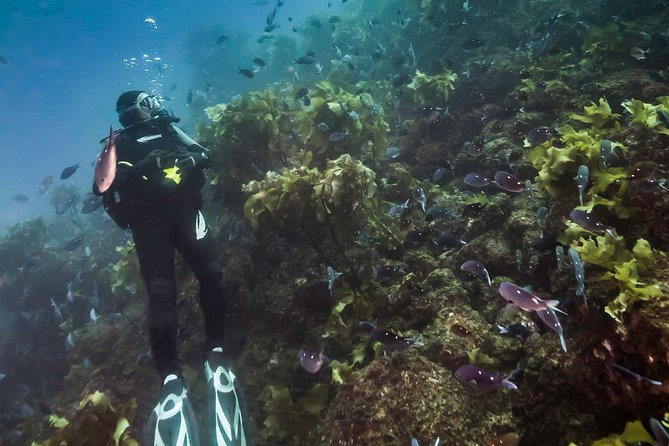 Try Scuba Diving - Inclusions