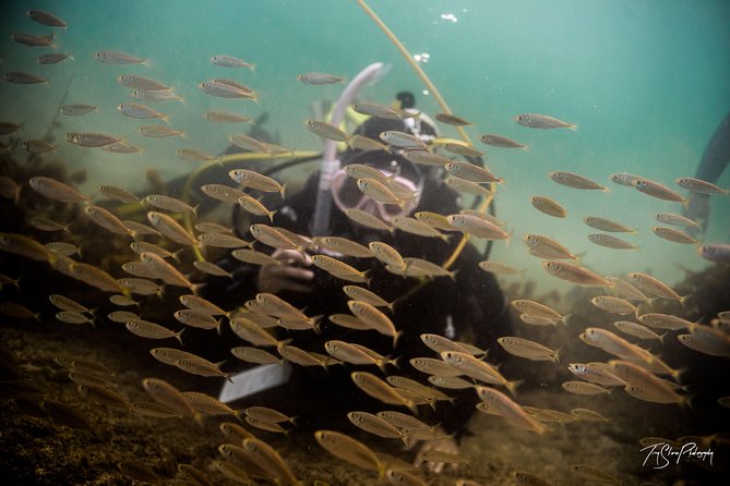 Try Scuba Diving - Booking Information