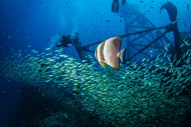 Try Scuba Diving 2 Dives Bang Bao - Additional Details