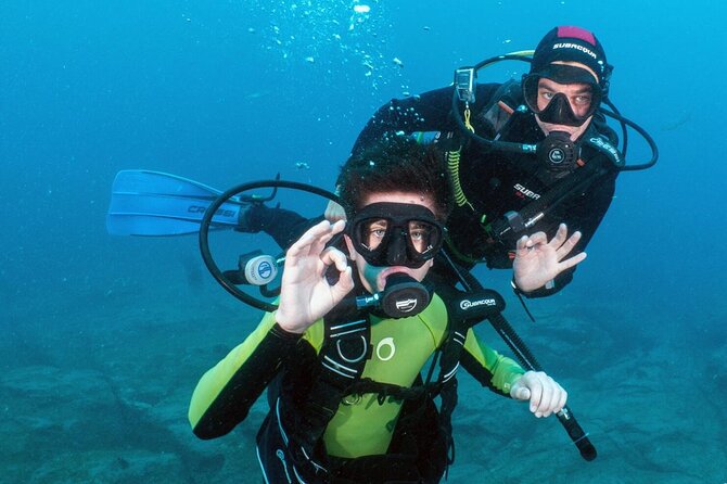 Try Scuba Diving in a Turtle Area (Boat) - Inclusions and Whats Provided