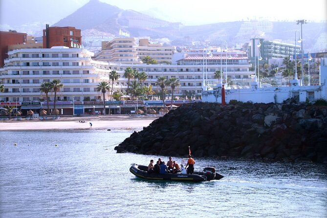 Try Scuba Diving in a Turtle Area (Boat) - Preparing for the Adventure