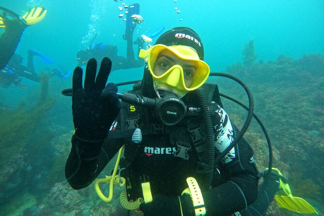 Try Scuba Diving in Arrabida Natural Park (Near Lisbon) With Pictures - Whats Included in the Package