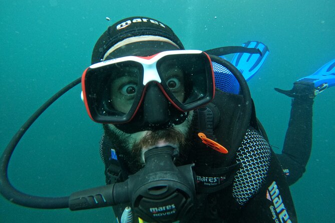 Try Scuba Diving in Arrabida Natural Park (Near Lisbon) With Pictures - Boat Tour and Refreshments