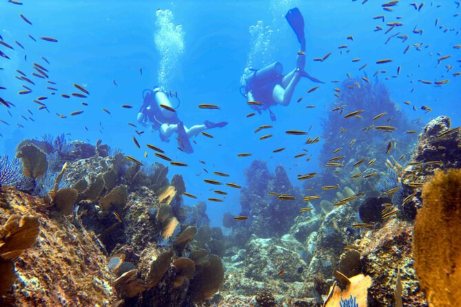 Try Scuba Diving in Kauai: No Experience Needed - Inclusions and What to Expect