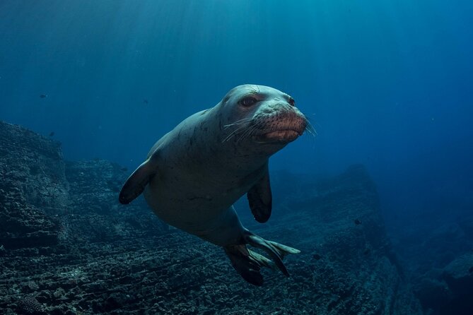 Try Scuba Diving in Kauai: No Experience Needed - Instructor Expertise and Guidance