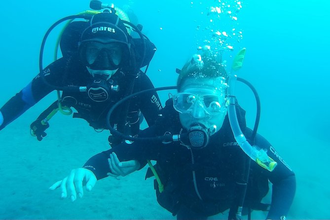 Try Scuba Diving in Lanzarote (No Experience Needed) - Discovering Lanzarotes Marine Wonders