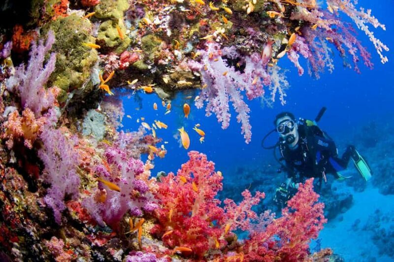Try Scuba Diving in Racha Yai/noi: 3 Dives for Non-Certified - Introduction