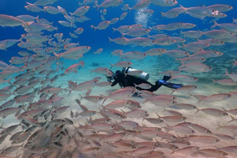 Try Scuba Diving in Racha Yai/noi: 3 Dives for Non-Certified - The Logistics and Practicalities