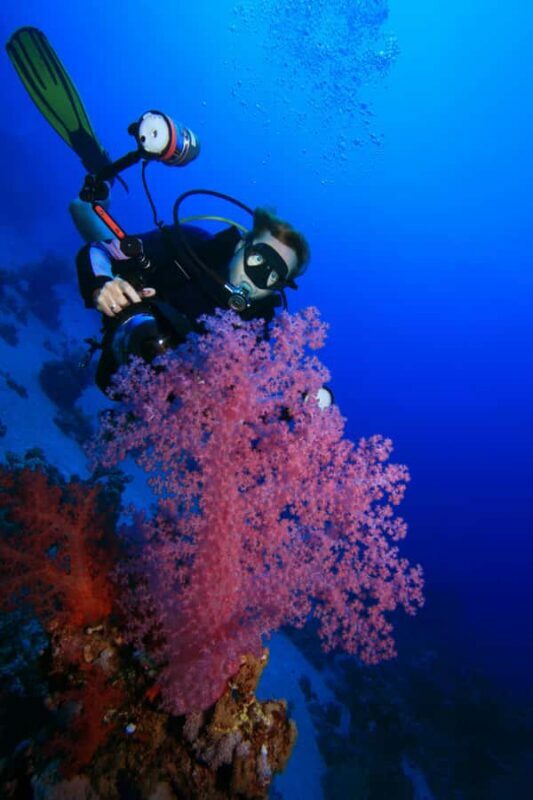 Try Scuba Diving in Racha Yai/noi: 3 Dives for Non-Certified - The Sum Up: Who Is This Tour Best For?