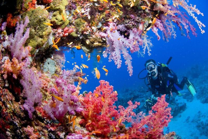 Try Scuba Diving in Racha Yai/noi: 3 Dives for Non-Certified - Key Points