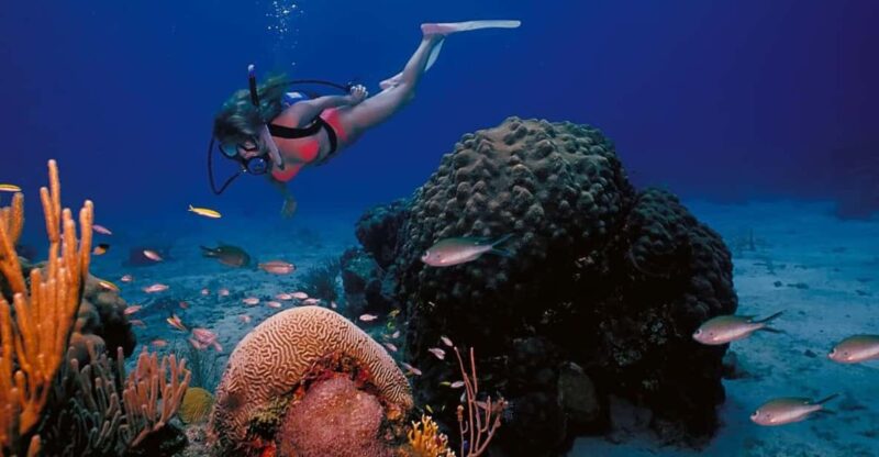 Try Scuba Diving in Racha Yai/noi: 3 Dives for Non-Certified - Inclusions and Key Features