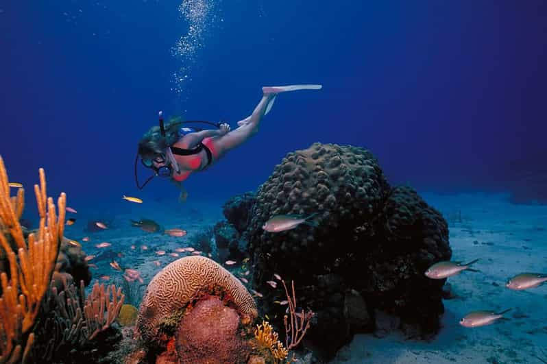 Try Scuba Diving in Racha Yai/noi: 3 Dives for Non-Certified - Highlights and Experiences