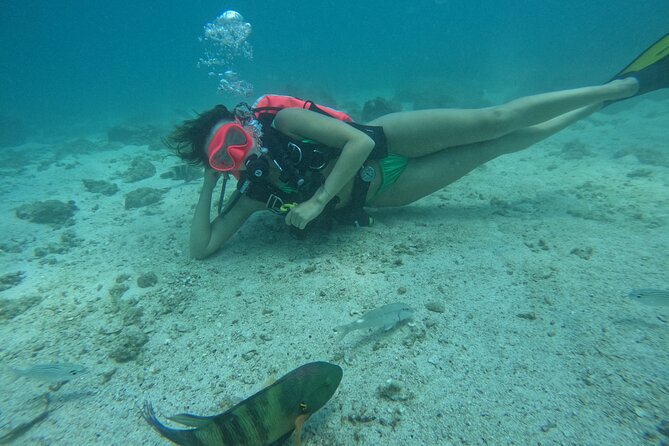 Try Scuba Diving & Snorkeling With BBQ Lunch in Fujairah - Inclusions and Highlights