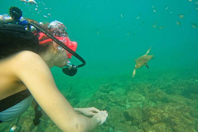Try Scuba Diving & Snorkeling With BBQ Lunch & Transfer - Hotel Pickup and Drop-off Convenience