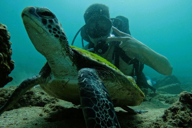 Try Scuba Diving & Snorkeling With BBQ Lunch & Transfer - Tour Requirements and Accessibility Information