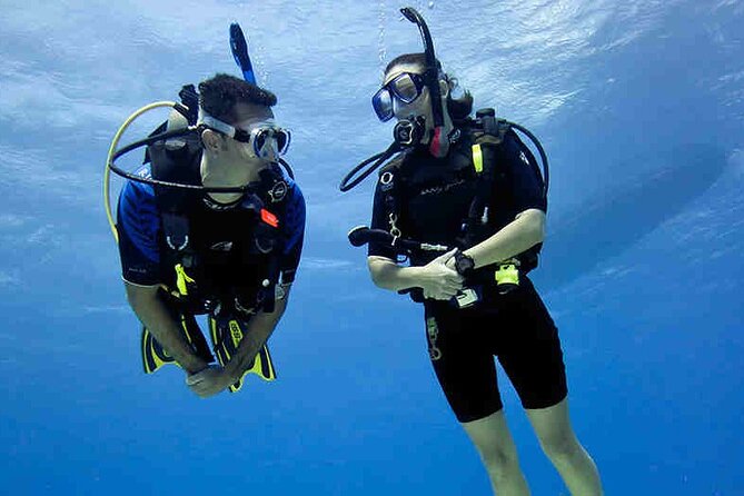 Try Scuba Diving & Snorkeling With BBQ Lunch & Transfer - Tour Reviews and Quality Assurance