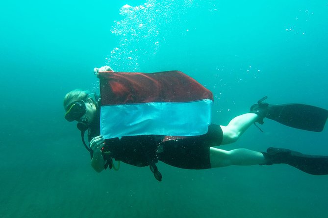 Try Scuba DIVING With BALI DIVING at TULAMBEN - Shuttle Service and Convenient Pickup