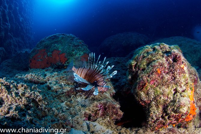 Try Scuba in Crete (For Beginners) - Suitability and Requirements