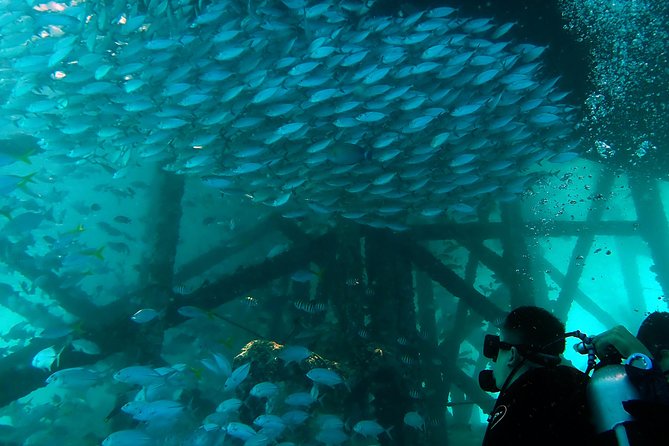 TRY SCUBA (Non Diver) - Physical Fitness Level
