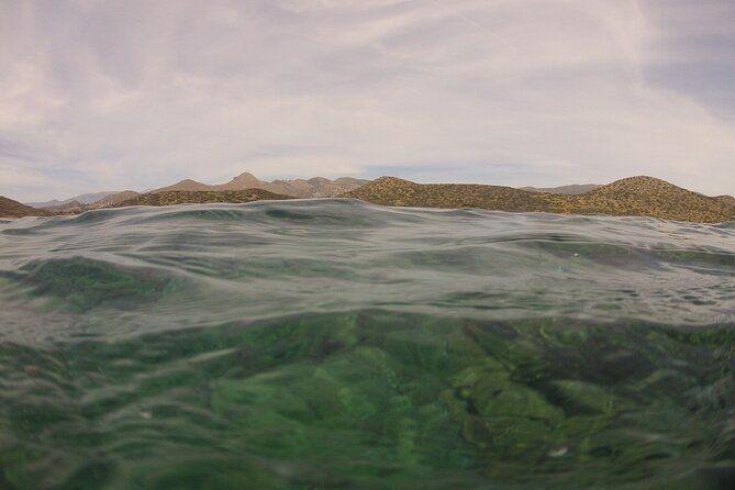 Try Snorkeling in the Sea With the Blue Dolphin Team - Cancellation Policy
