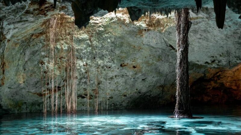 Try, Tulum, Cenote & Lunch ECO Full Day From Rivera - Key Points