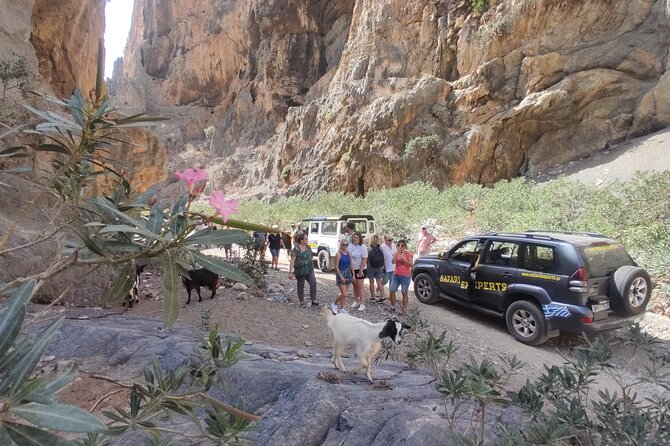Trypiti Beach and Gorge Jeep Safari - What to Bring