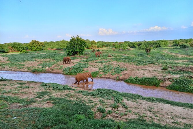 Tsavo East and Ngutuni Sanctuary Safari 3 Days From Mombasa - Detailed Itinerary