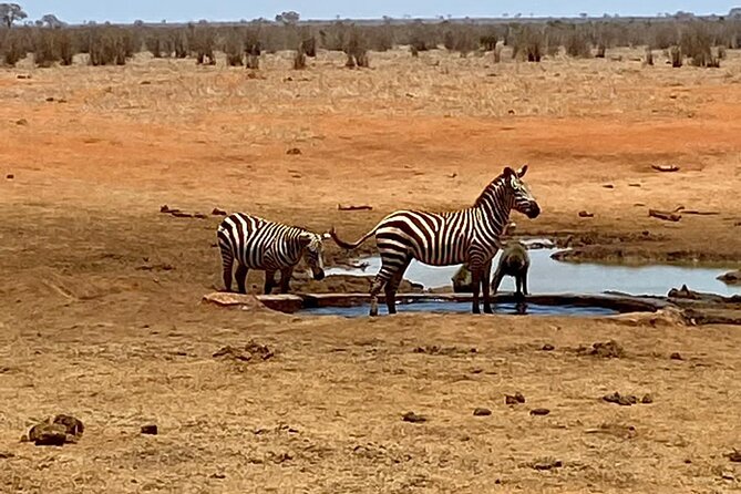 Tsavo East and Ngutuni Sanctuary Safari 3 Days From Mombasa - Whats Included and Excluded