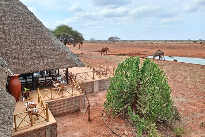 Tsavo East and Ngutuni Sanctuary Safari 3 Days From Mombasa - Booking and Cancellation Policy