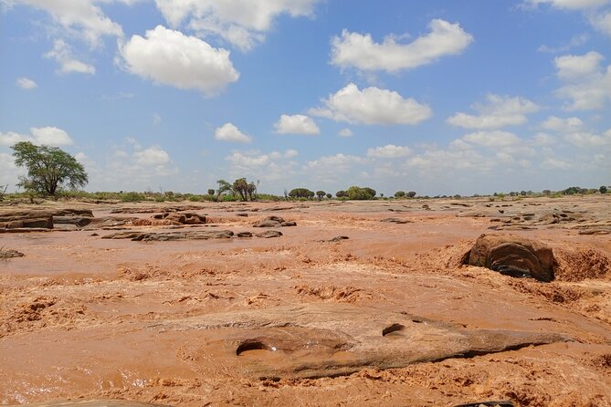 Tsavo East and Ngutuni Sanctuary Safari 3 Days From Mombasa - Customer Reviews and Ratings