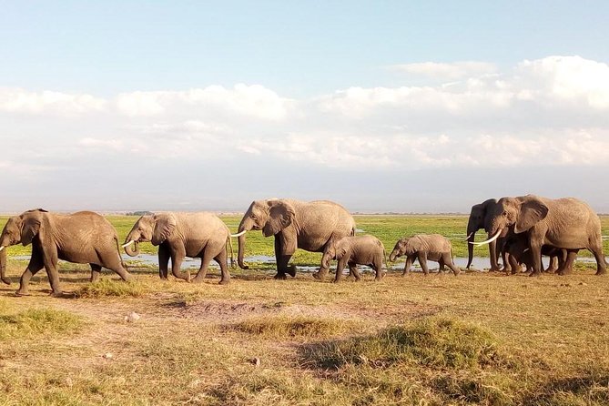 Tsavo East & West, Amboseli 5days From Mombasa - Discovering Tsavo West