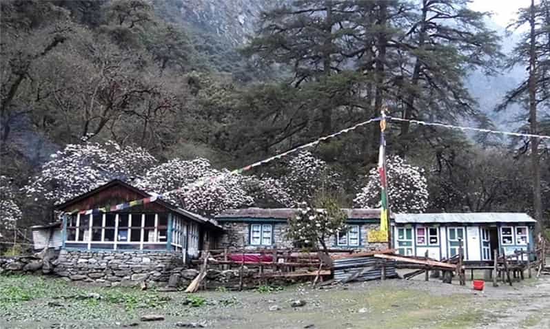 Tserko Ri: A Hikers Ultimate Challenge in Langtang Region - Highlights of Langtang Valley