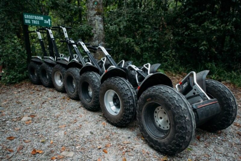 Tsitsikamma National Park: 1 or 2-Hour Segway Tour - Exploring the Indigenous Forest