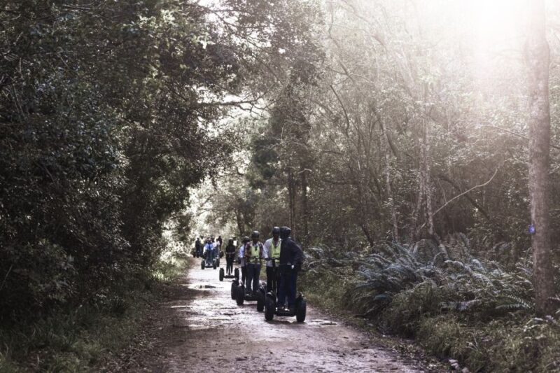 Tsitsikamma National Park: 1 or 2-Hour Segway Tour - Traversing the Pied Kingfisher Trail
