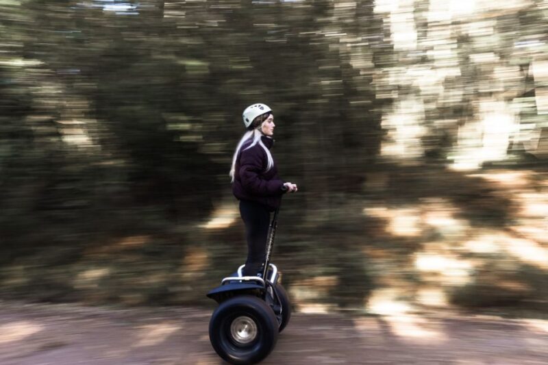 Tsitsikamma National Park: 1 or 2-Hour Segway Tour - Marveling at Fynbos and Wetlands