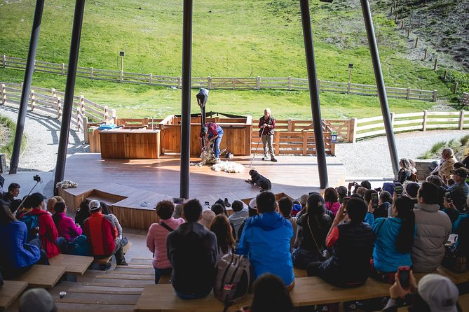 TSS Earnslaw and BBQ Buffet Lunch in Queenstown - Accessibility and Additional Information