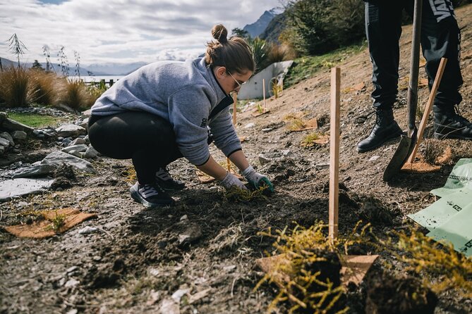 TSS Earnslaw Cruise & Walter Peak Eco Experience - Key Points