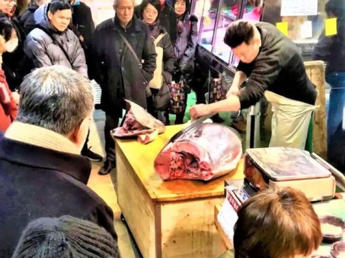 Tsukiji Private Tour: Taste Your Fav Food From 460 Stalls! - Inclusions and Important Information