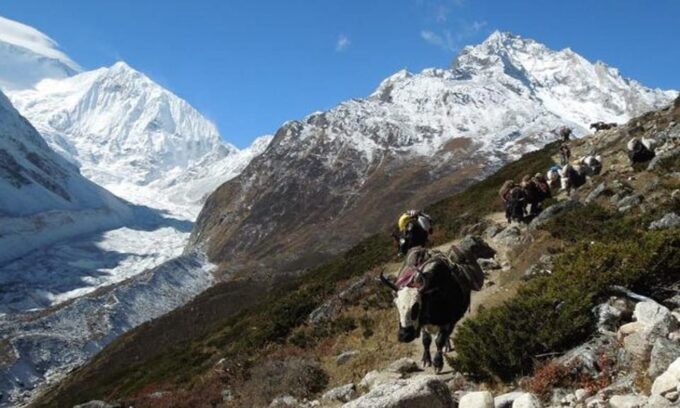 Tsum Valley Trek: Exploring the Hidden Gem - Authentic Cultural Immersion