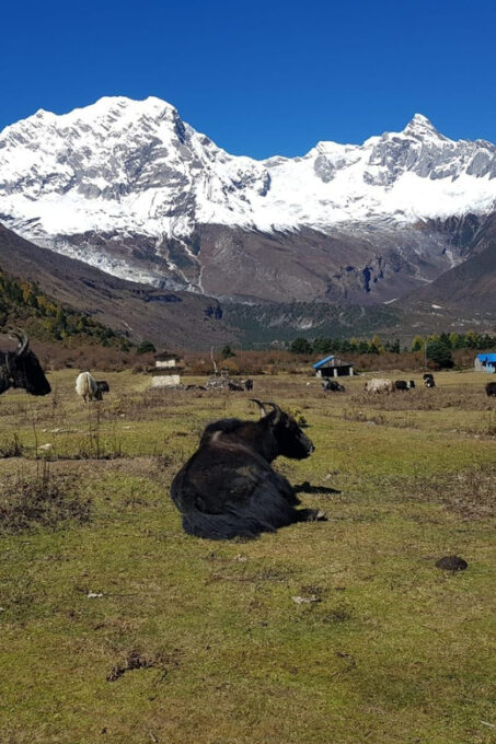 Tsum Valley Trek in Nepal - 14 Days - Preparing for the Trek