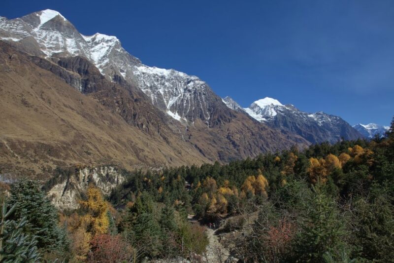 Tsum Valley With Manaslu Trek 22 Days - Accommodation and Amenities