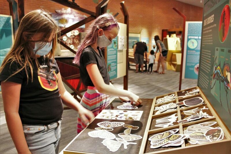 Tucson: Flandrau Science Center Entry Ticket - Additional Experiences and Optional Activities