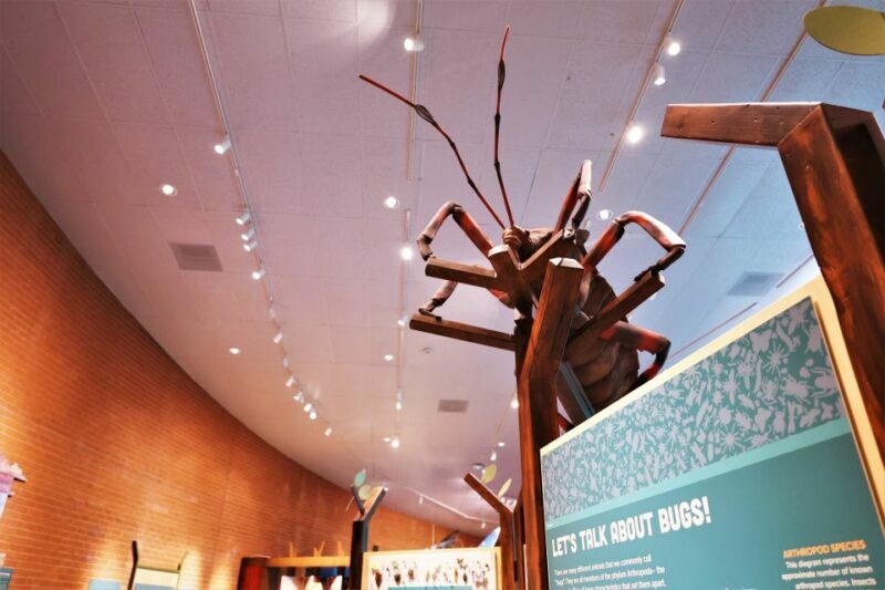 Tucson: Flandrau Science Center Entry Ticket - The Practical Side: Visiting and Value