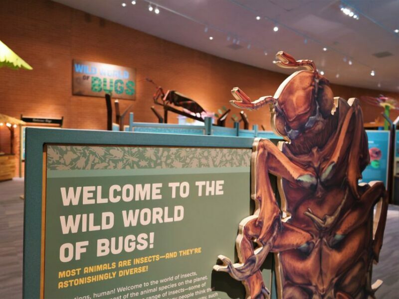 Tucson: Flandrau Science Center Entry Ticket - Conclusions: Is It Worth Visiting?