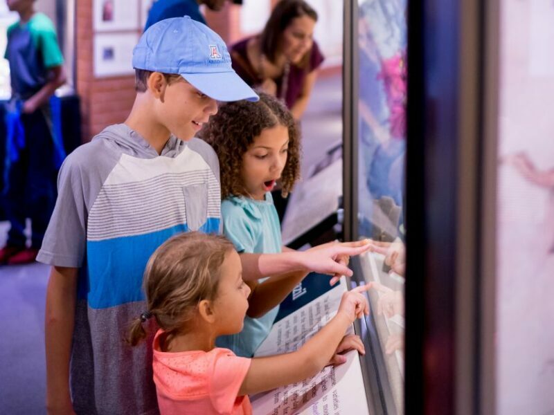 Tucson: Flandrau Science Center Entry Ticket - FAQ