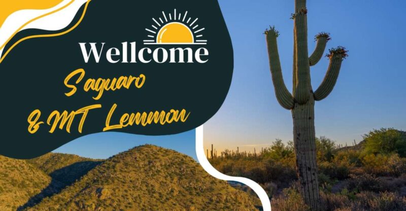 Tucson: Mt Lemmon & Saguaro NP Self-Guided Bundle Tour - Key Locations and Highlights