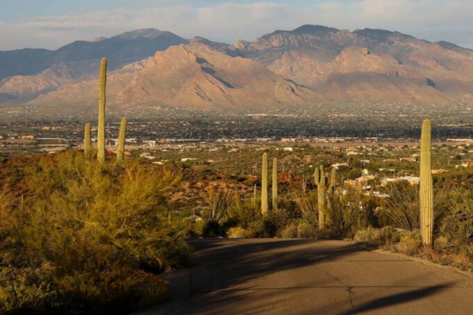 Tucson: Mt Lemmon & Saguaro NP Self-Guided Bundle Tour - Customer Support and Reviews