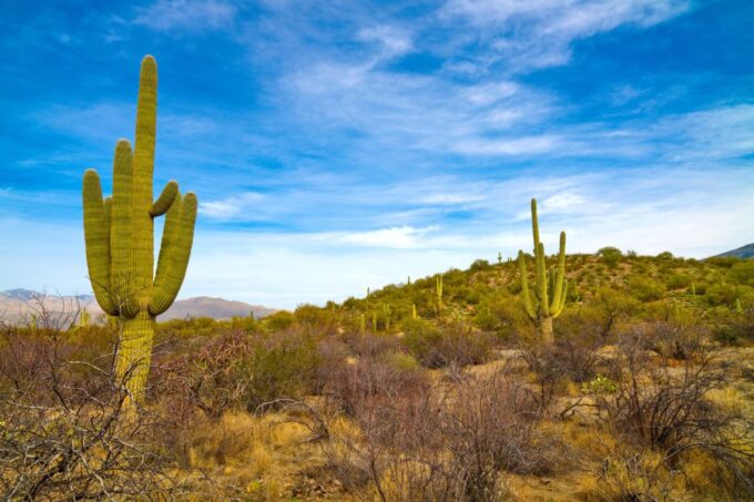 Tucson: Mt Lemmon & Saguaro NP Self-Guided Bundle Tour - Frequently Asked Questions