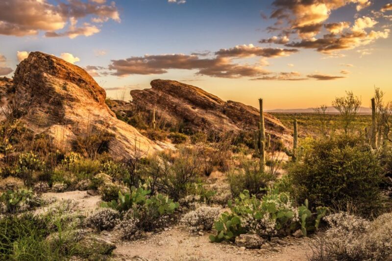 Tucson: Mt Lemmon & Saguaro NP Self-Guided Bundle Tour - Key Points